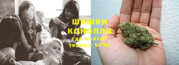 бошки Алексин