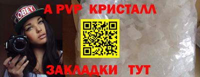 стаф Кандалакша