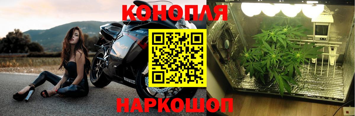 Конопля гибрид  Конопля OG Kush  Вход с VPN  Керчь  МАРИХУАНА индика 
